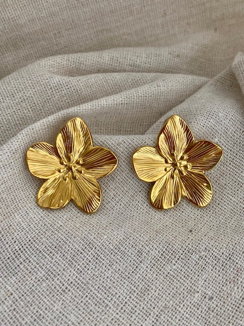 Boucles D'oreilles Capucine